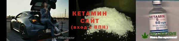 сатива Нестеровская