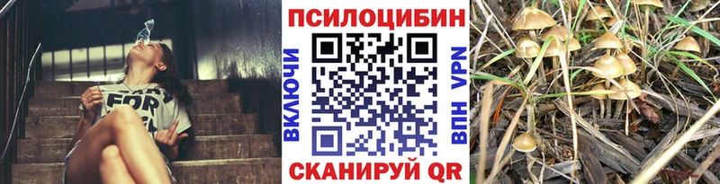 Псилоцибиновые грибы Magic Shrooms  где купить наркоту  Великий Устюг 