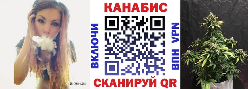 МАРИХУАНА план Великий Устюг